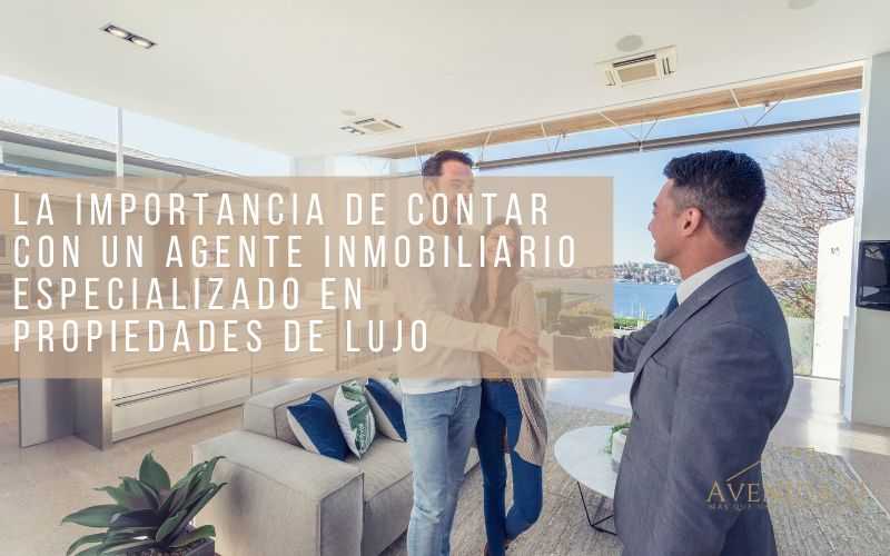 agente inmobiliario especializado